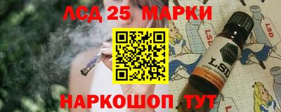 гидропоника Будённовск