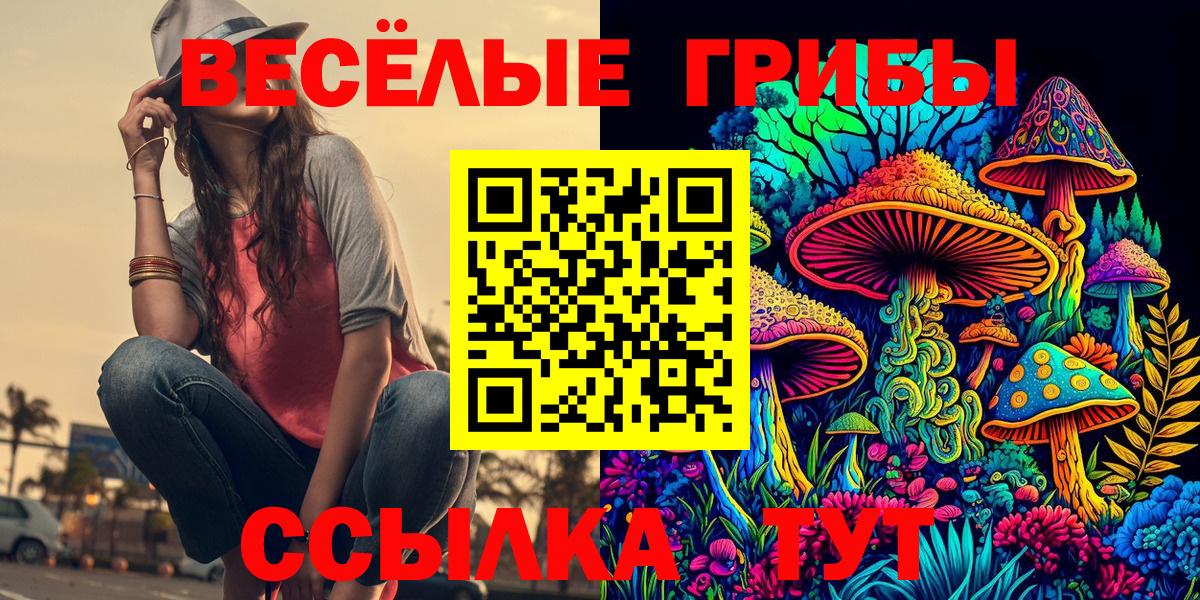 Псилоцибиновые грибы Cubensis Мурманск